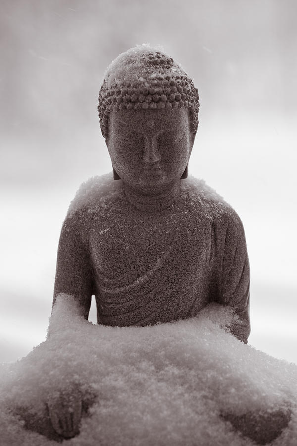 Buddha in the Snow Photograph by Edward Myers