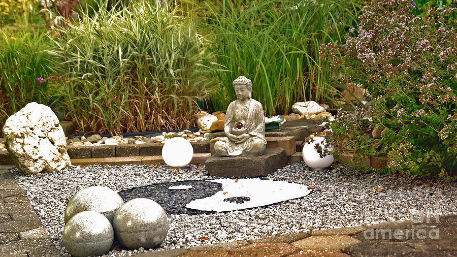 Buddha looks at Yin and Yang Photograph by Eva-Maria Di Bella