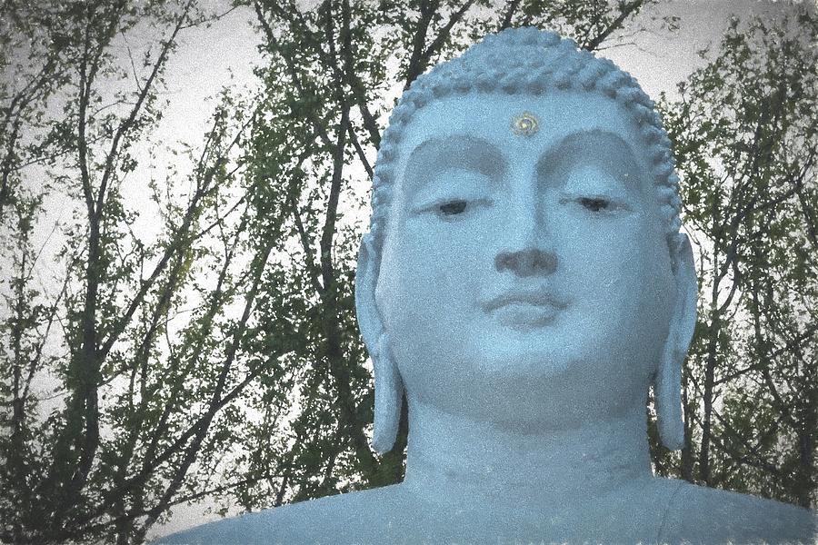 Buddha Nature Photograph by Terry DeLuco
