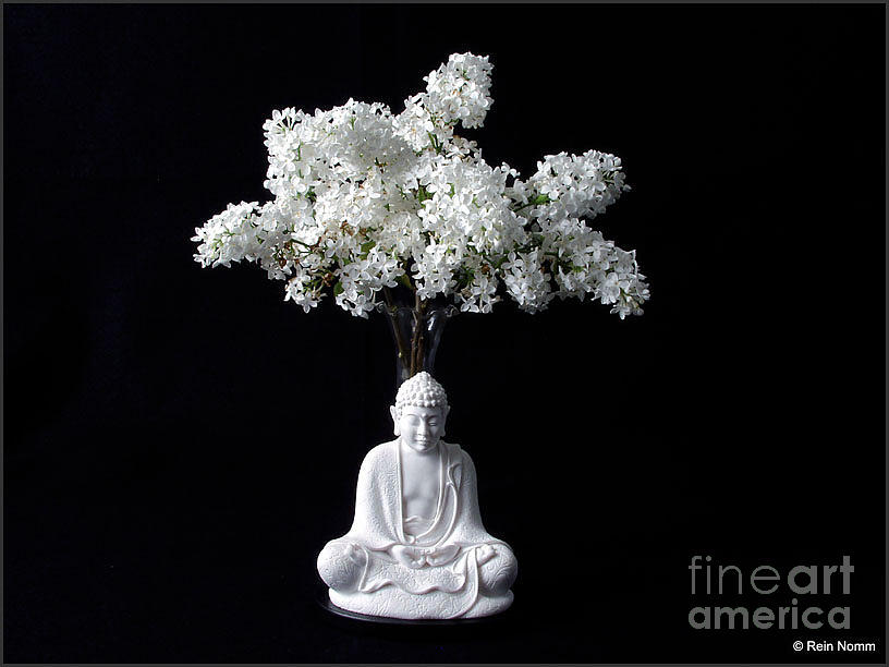 Buddha of the Lilacs Photograph by Rein Nomm