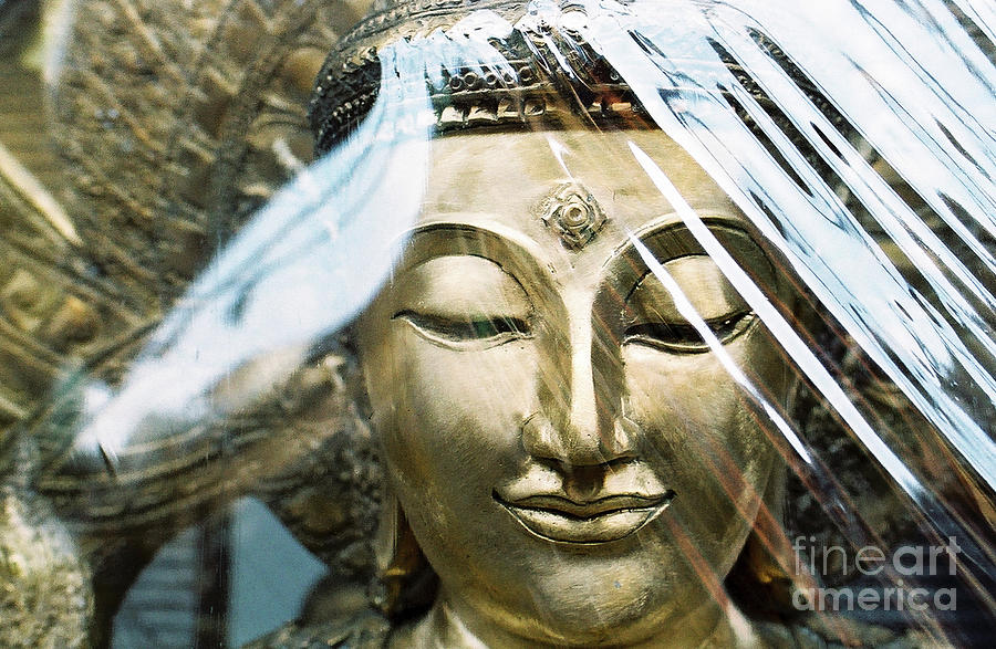 Buddha Protected Photograph by Dean Harte