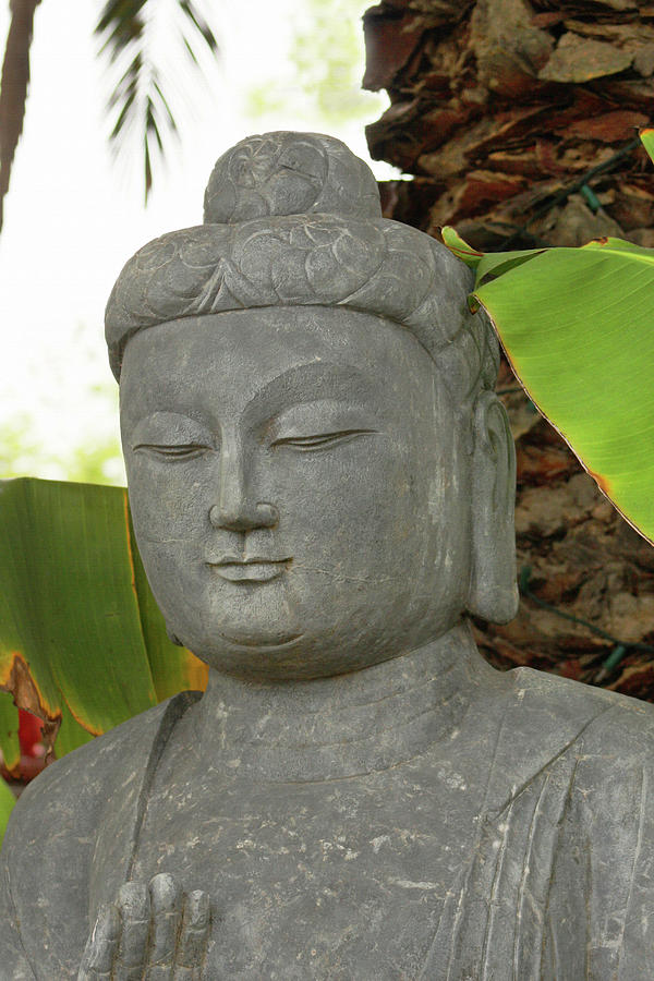 Buddha Serenity Photograph by Art Block Collections