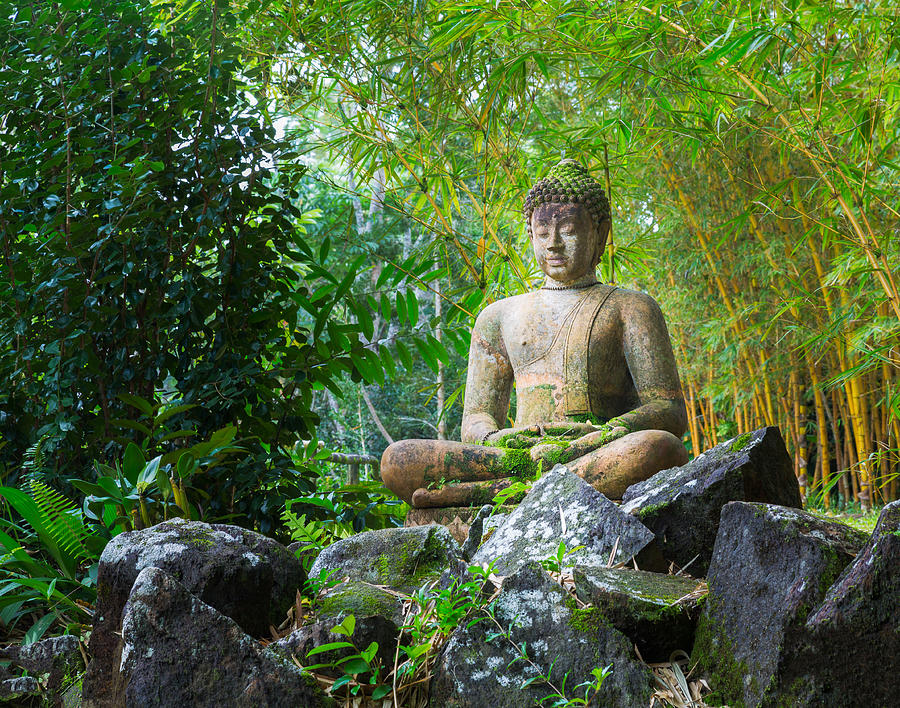 Buddha statue in bamboo forest Photograph by Steven Heap