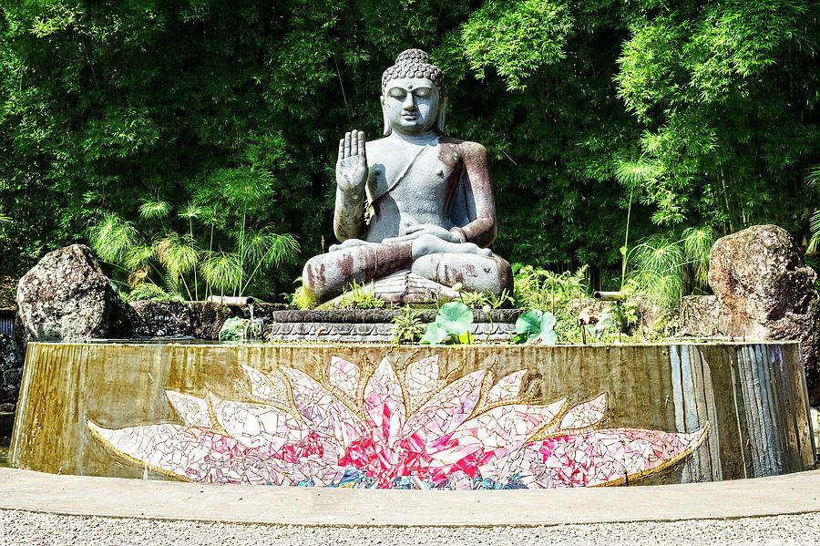 Buddha Statue in Garden Photograph by Catherine Reading