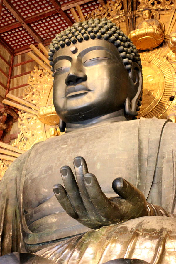 Buddha Statue of Todaiji temple 1 Photograph by Silpa Saseendran