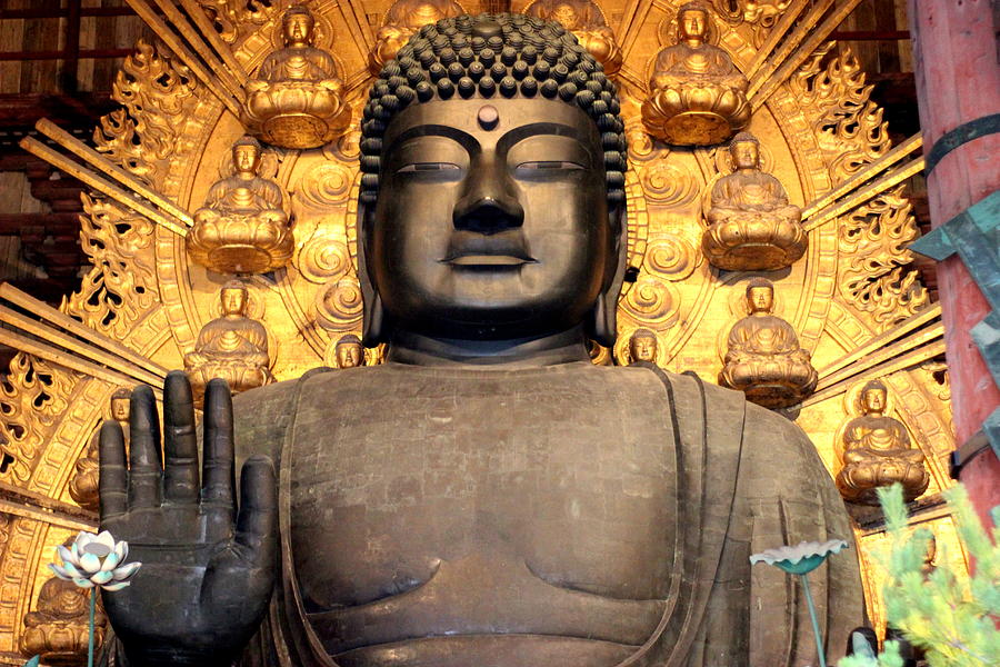 Buddha Statue of Todaiji temple 2 Photograph by Silpa Saseendran