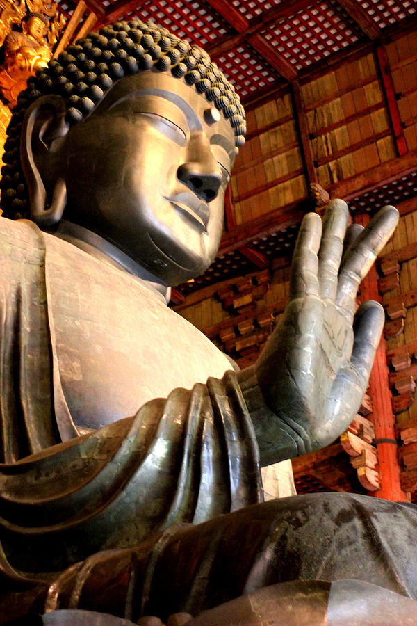 Buddha Statue of Todaiji temple Photograph by Silpa Saseendran