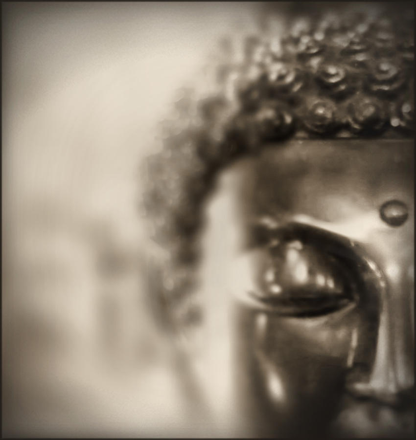 Buddha Thoughts Photograph by Douglas MooreZart