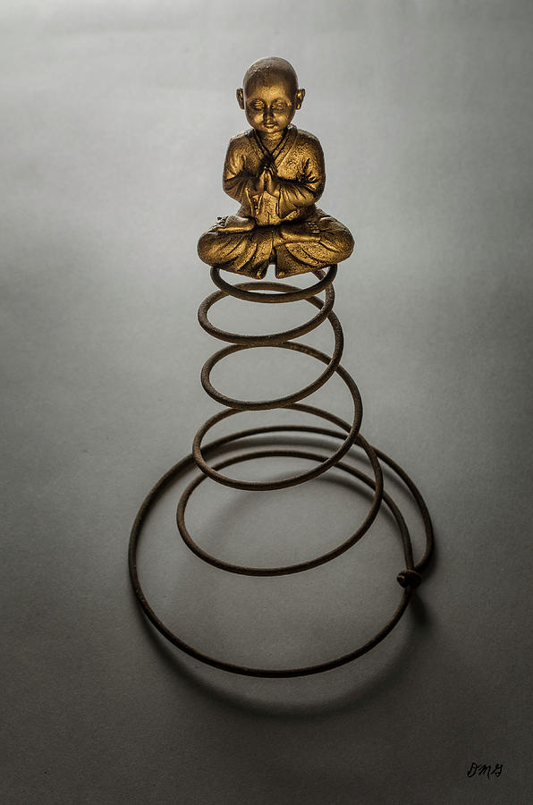 Buddha Photograph - Buddha VI by David Gordon