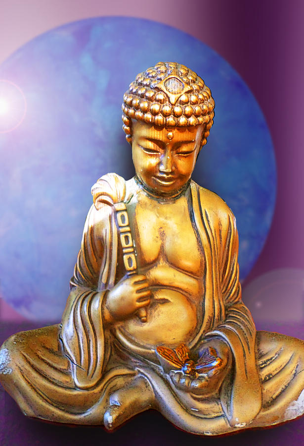 Buddha with Butterfly Digital Art by Ginny Schmidt
