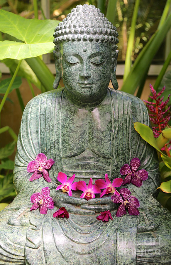 Buddha with Orchids Photograph by Carol Groenen
