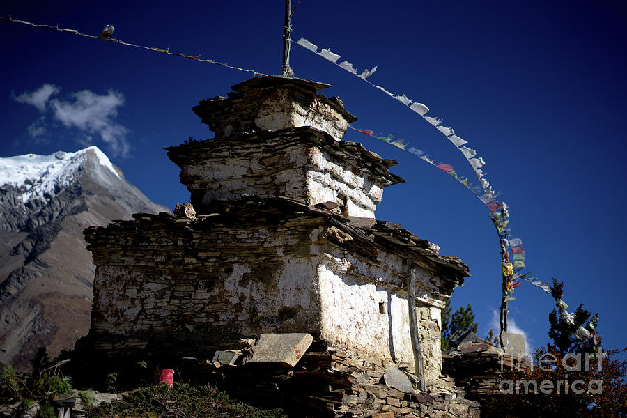 Buddhist gompa and prayer flags in the Himalaya mountains, Nepal Photograph by Raimond Klavins