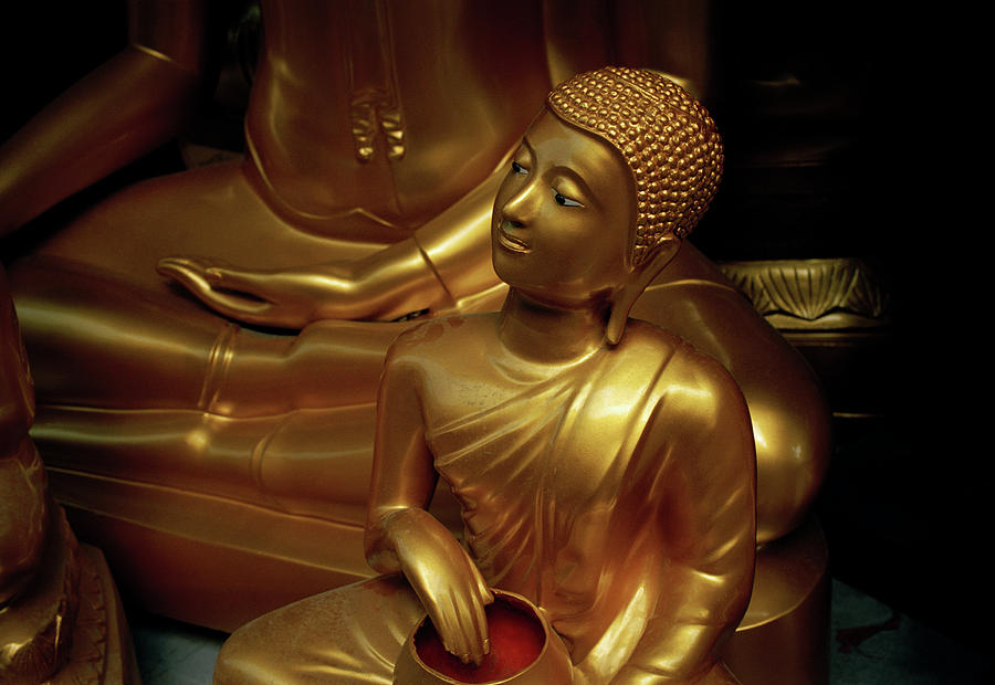 Buddhist Inspiration Photograph by Shaun Higson