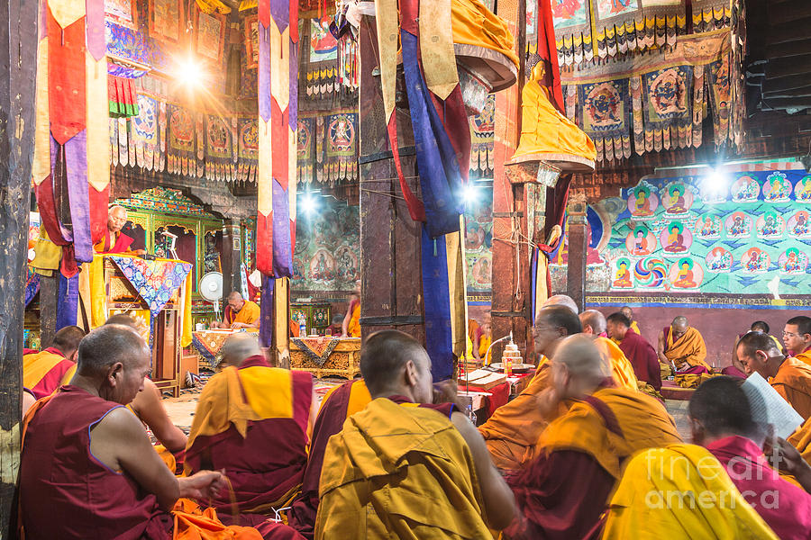 Buddhist monks praying in Thiksay monastery Photograph by Didier Marti