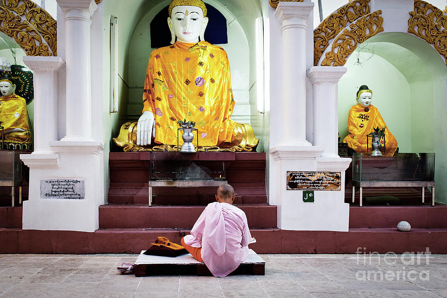 Buddhist Nun at Shwedagon Pagoda Photograph by Dean Harte