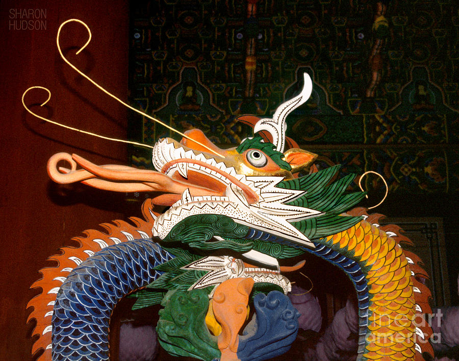 Korean temple dragon - Korean Dragon Photograph by Sharon Hudson