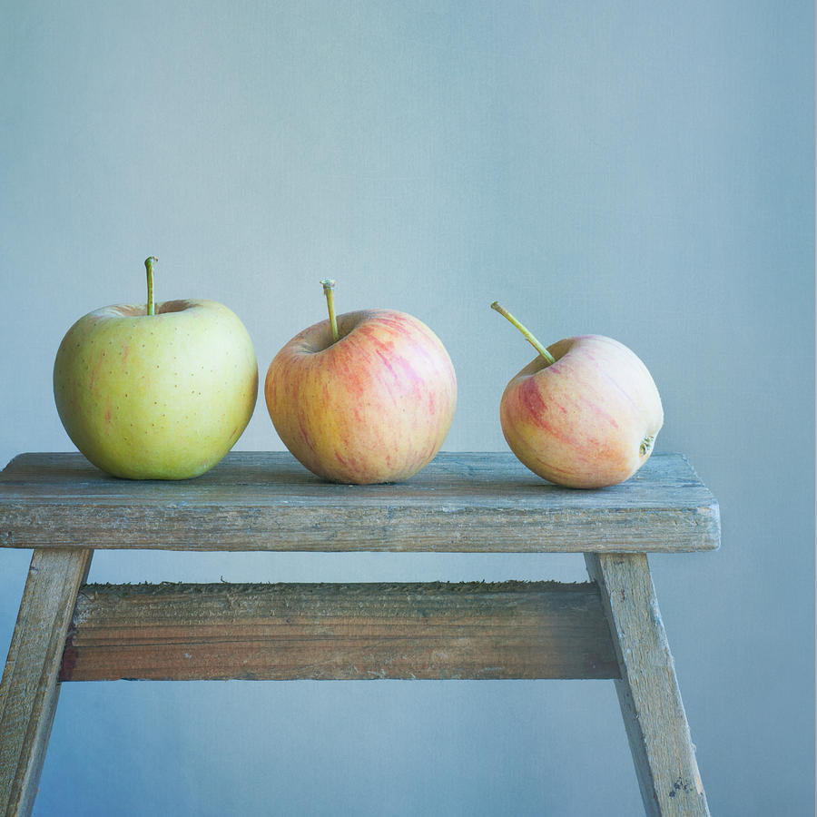 Apple Photograph - Buddies by Colleen Farrell