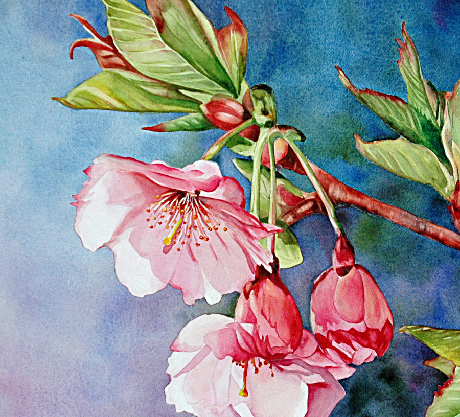 Budding Blossoms Painting by Diane Fujimoto