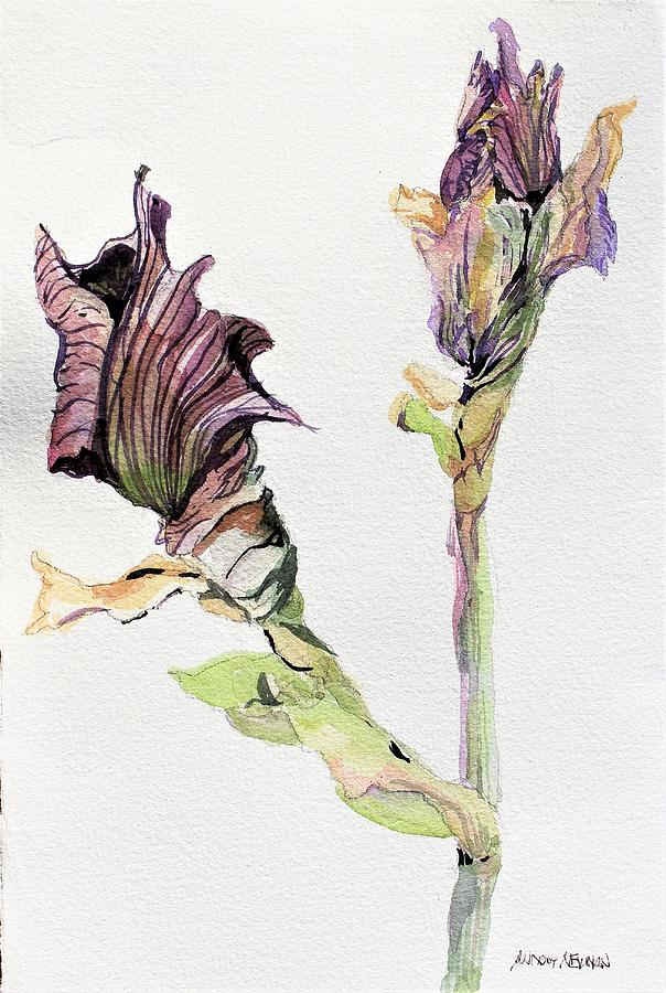  Iris Buds Painting by Mindy Newman