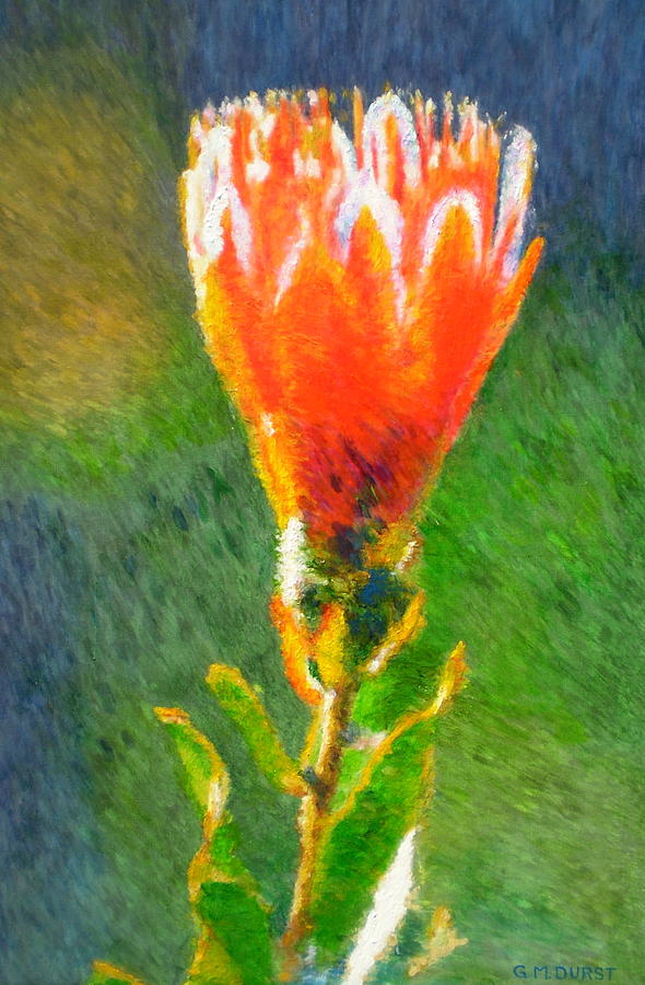 Budding Protea Painting by Michael Durst - Fine Art America