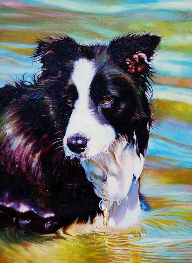 Dog Painting - Buddy Border Collie by Kelly McNeil