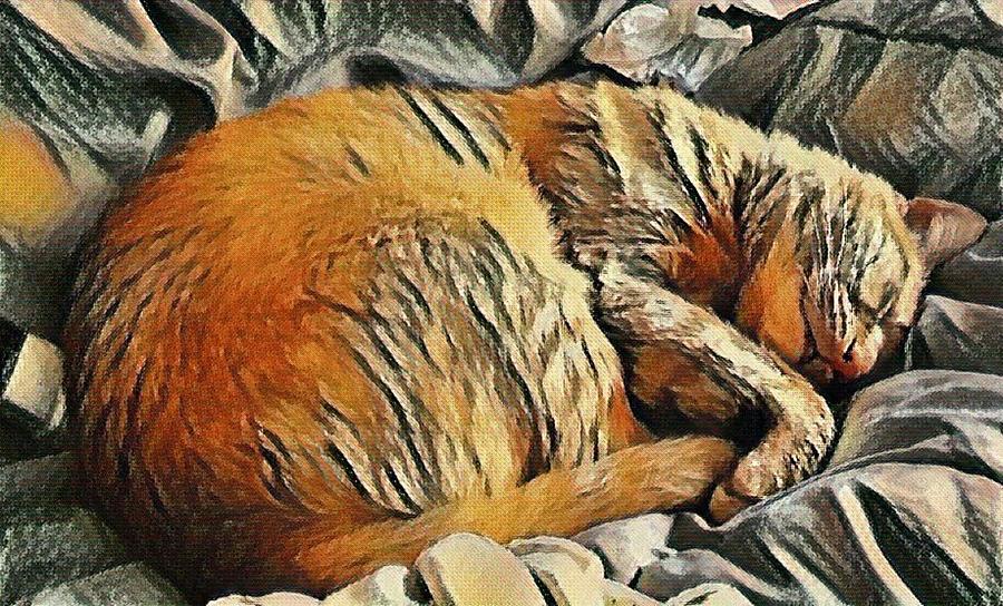 Buddy the Cat Napping Art Print Mixed Media by Stacie Siemsen