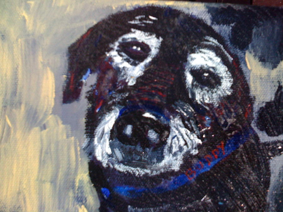 Dog Painting - Buddy the Black Lab by R Bruce Macdonald