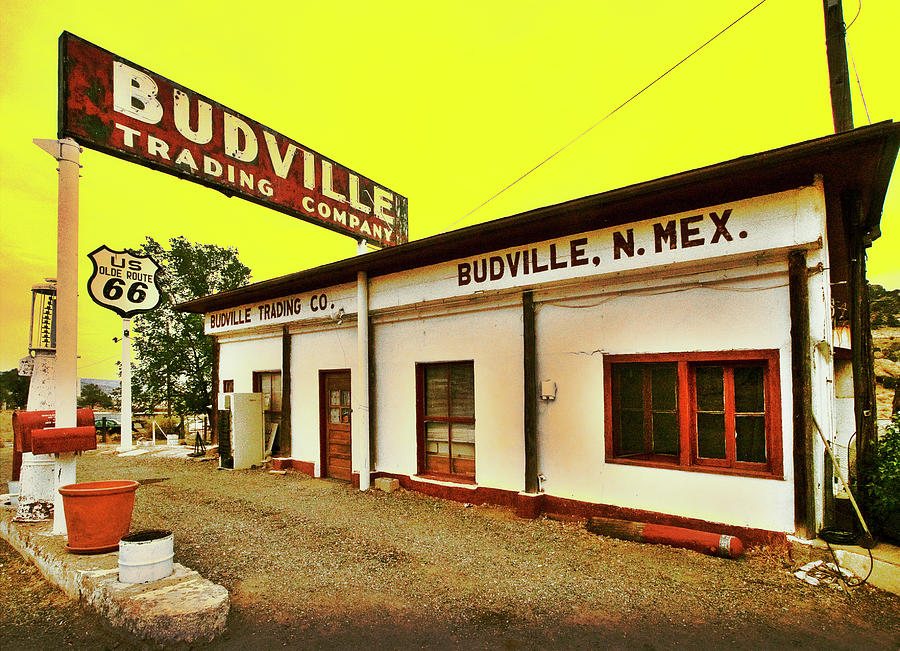 Budville Photograph by Micah Offman