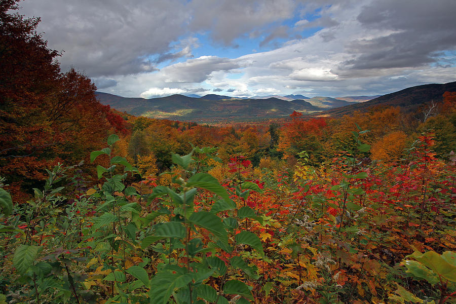 Buena Vista New Hampshire Photograph by Juergen Roth