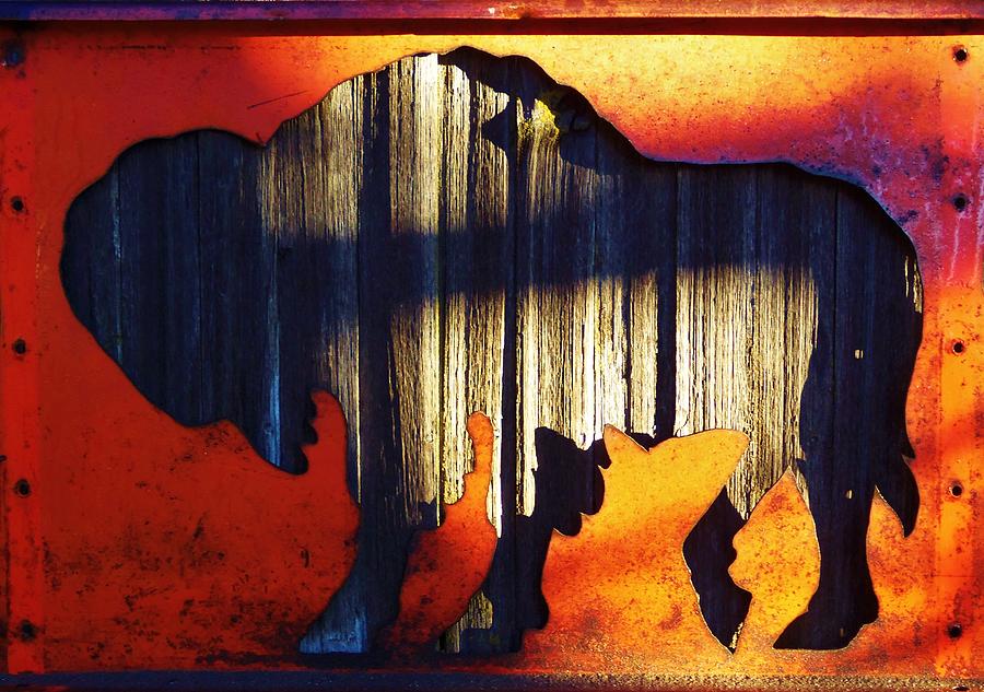 Buffalo Photograph - Wooden Buffalo 4  by Larry Campbell