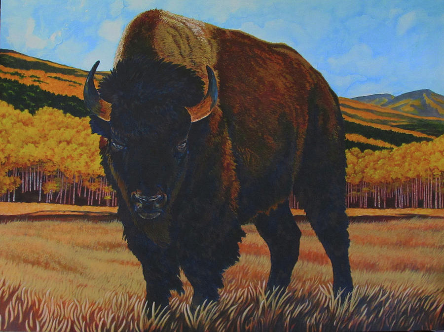 Buffalo and Aspens Painting by Fred Barraza - Fine Art America