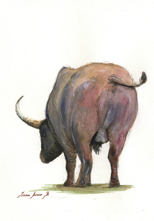 Buffalo Painting - Buffalo back by Juan Bosco