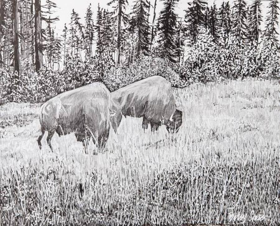 Buffalo Drawing by Betsy Carlson Cross