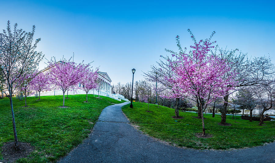 Architecture Photograph - Buffalo Cherry Blossoms 1 by Chris Bordeleau