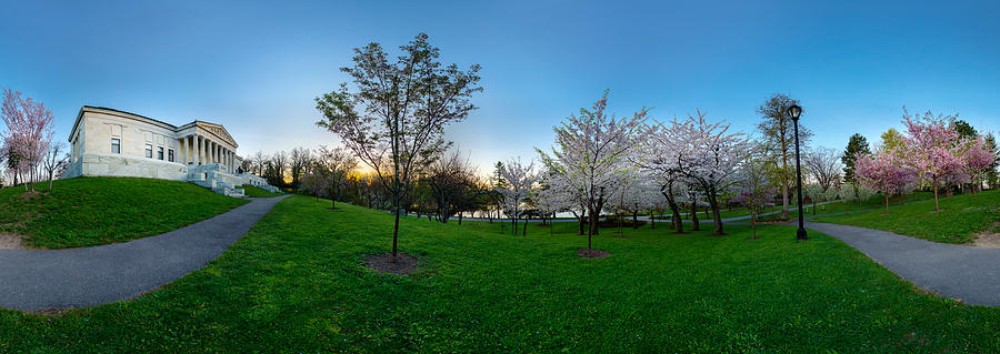 Buffalo Cherry Blossoms 3 Photograph by Chris Bordeleau