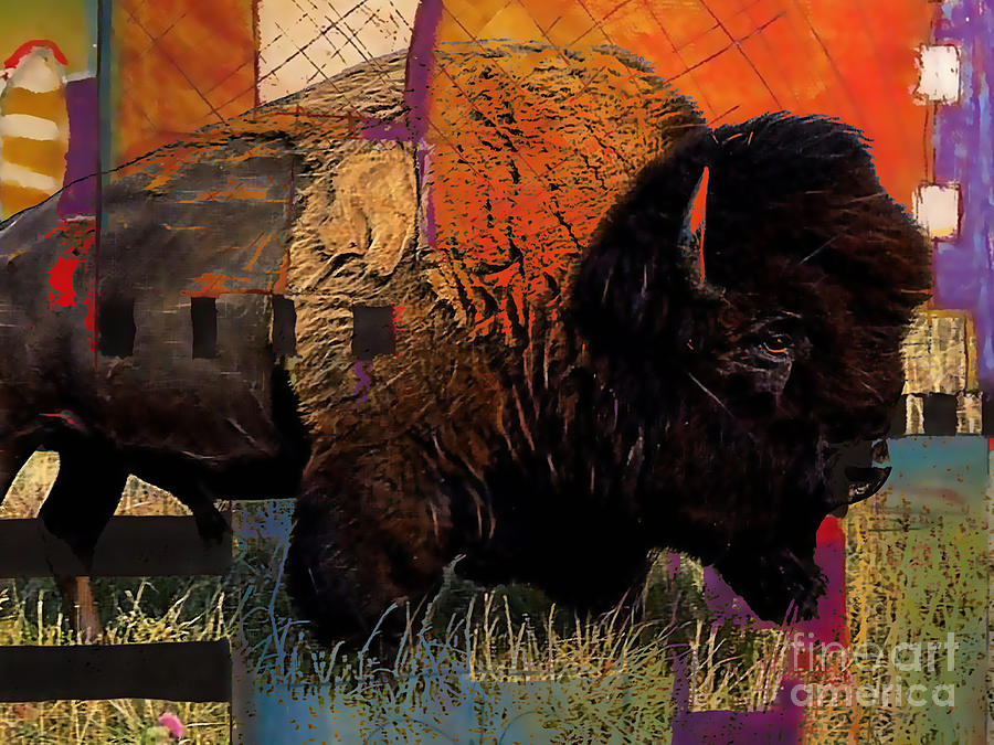 Buffalo Collection Mixed Media by Marvin Blaine