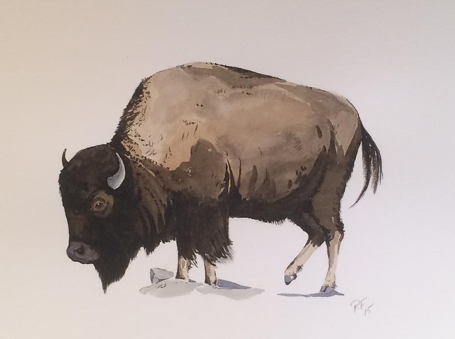 Buffalo Cow Painting by Robert Fugate