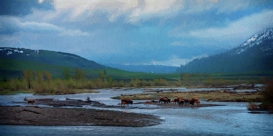 Buffalo Crossing the Lamar River Yellowstone_Photo Painting_GRK7153_05242018 Photograph by Greg Kluempers