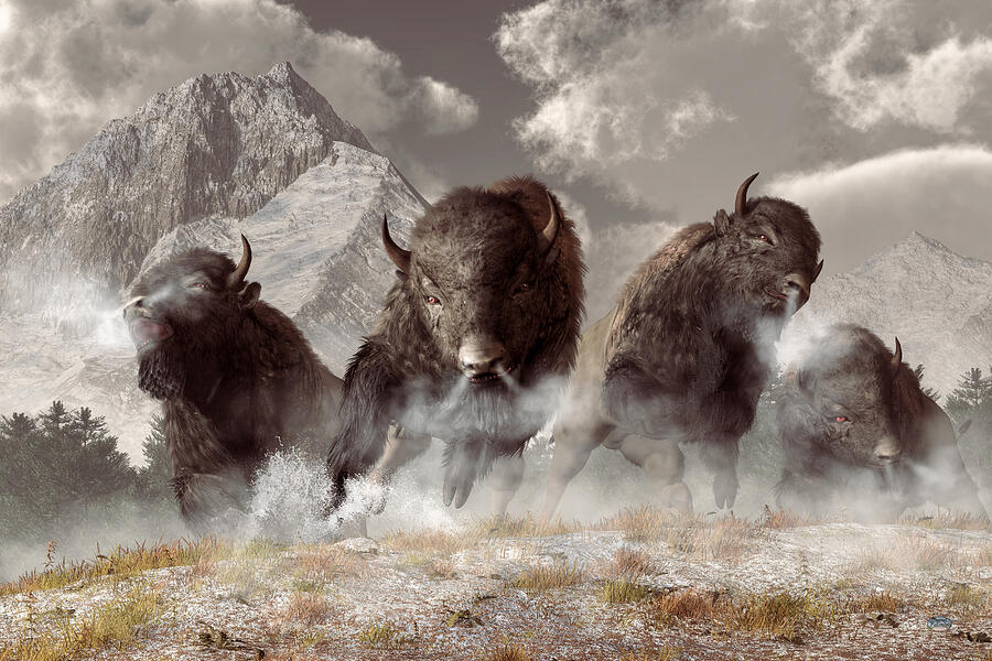 Buffalo Digital Art by Daniel Eskridge