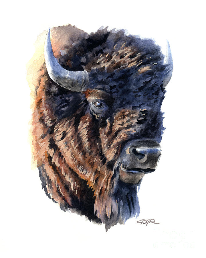 Buffalo Painting - Buffalo by David Rogers