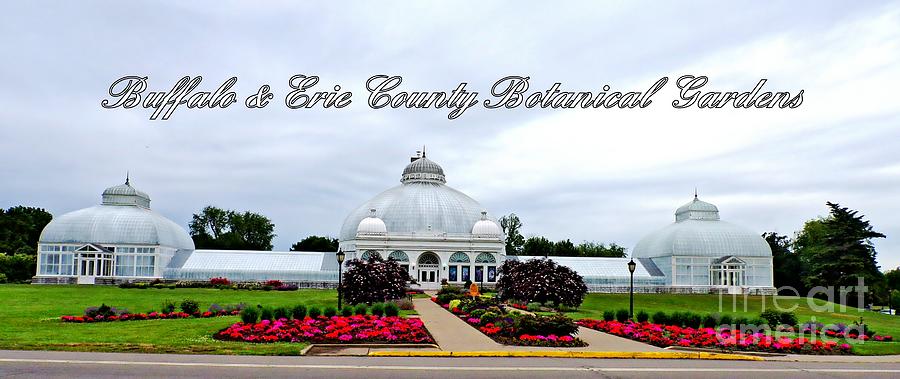 Buffalo Erie County Botanical Gardens 2018 Photograph By Elizabeth