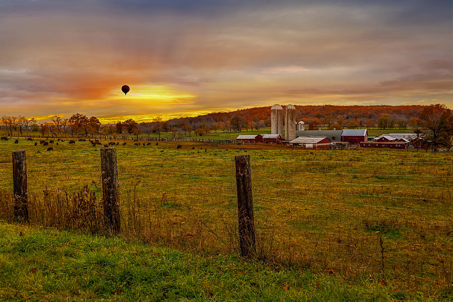 Buffalo Farm Sunset Photograph by Susan Candelario