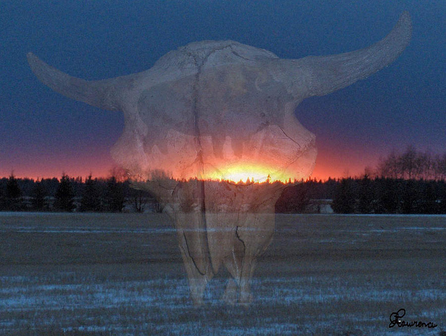 Buffalo Ghosts Digital Art by Andrea Lawrence
