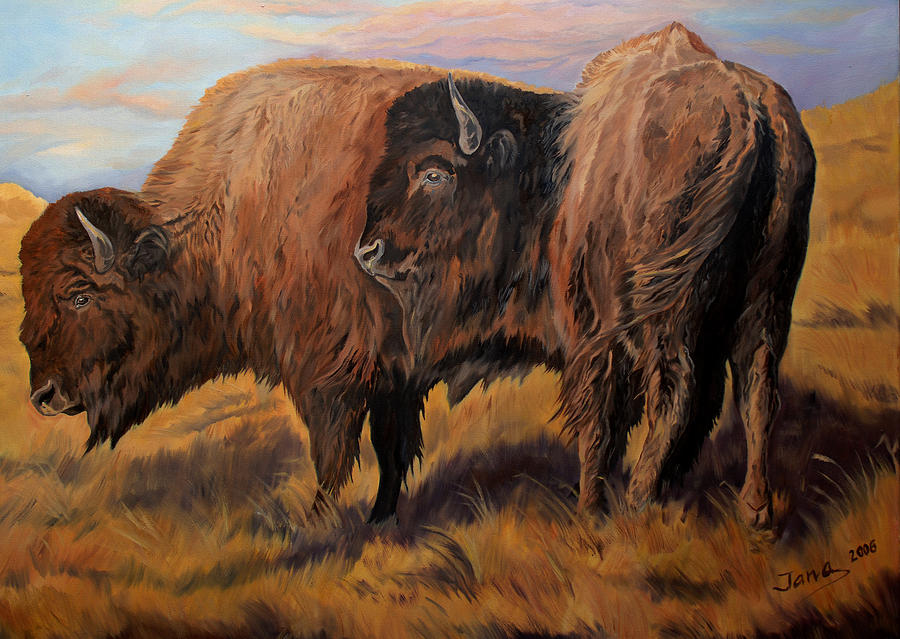 Buffalo grass Painting by Jana Goode