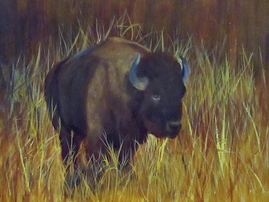 Wildlife Painting - Buffalo Grazing by Roseann Gilmore