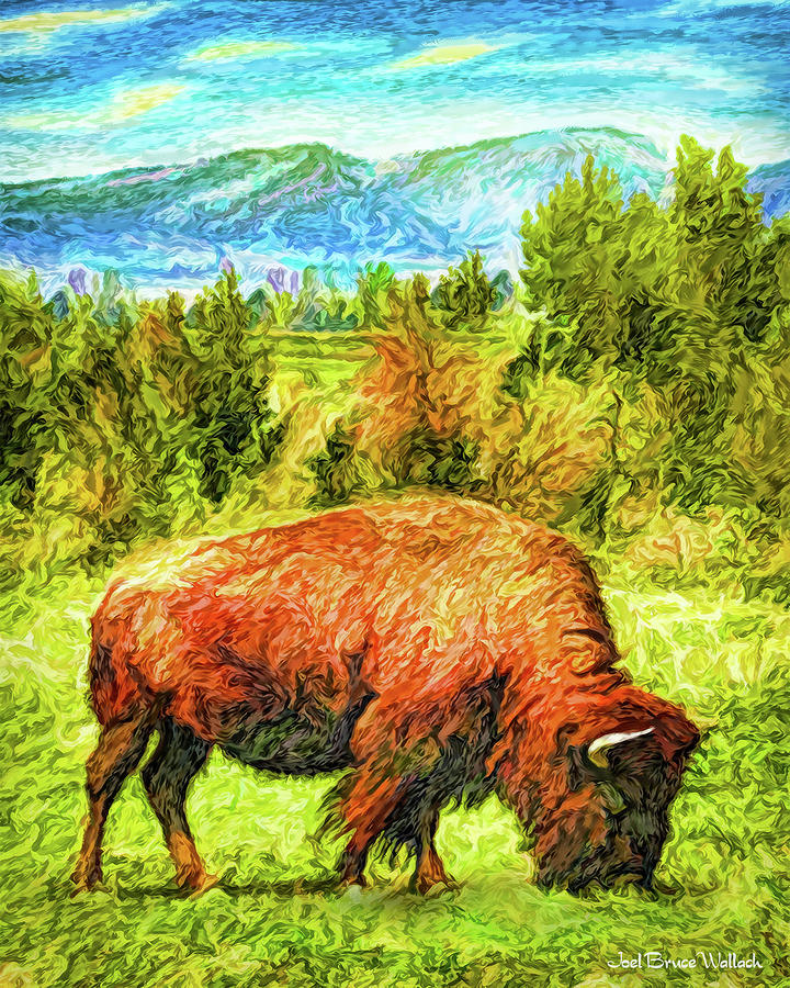 Buffalo Grazing Under Blue Sky - Boulder County Colorado Digital Art by Joel Bruce Wallach