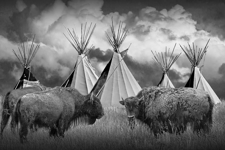 Yellowstone National Park Photograph - Buffalo Herd among Teepees of the Blackfoot Tribe by Randall Nyhof