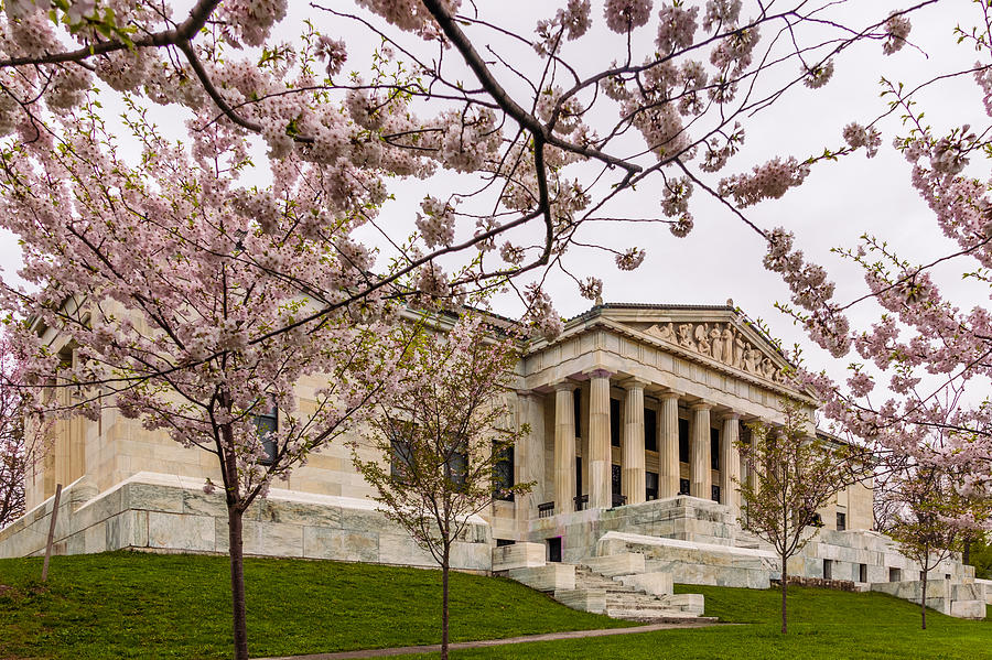 Buffalo History Museum through the Cherry Blossoms Photograph by Chris Bordeleau