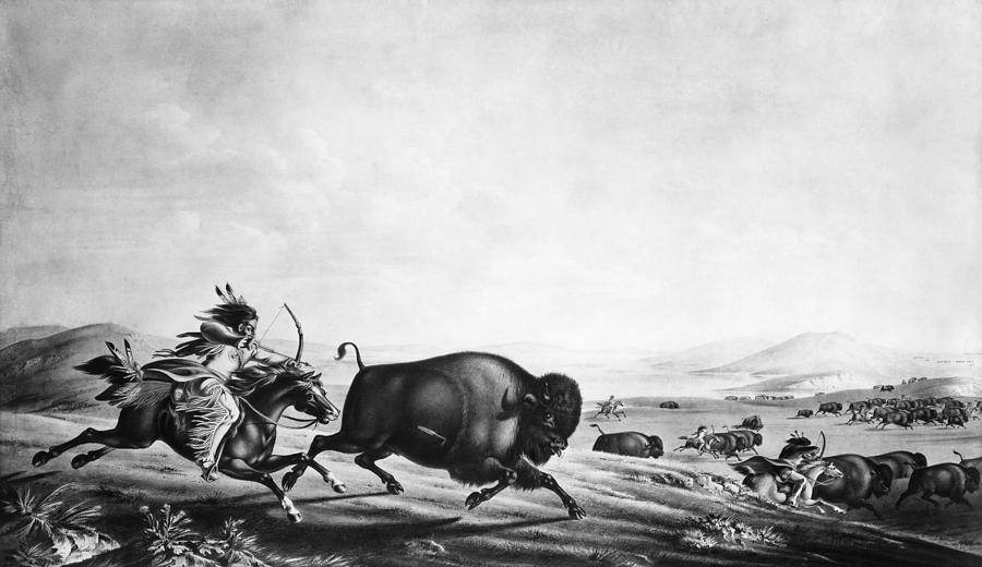Buffalo Photograph - BUFFALO HUNT, c1830 by Granger