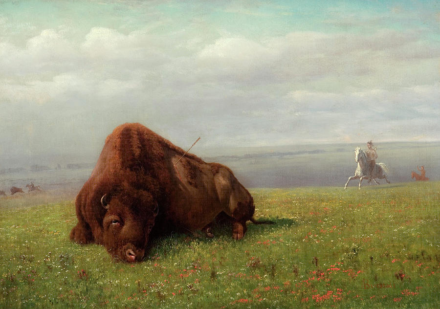 Buffalo Hunting Painting by Albert Bierstadt - Pixels